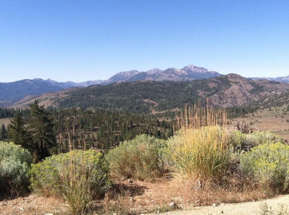 Vast mountain landscape with lush green trees and clear blue sky in the background, showcasing natural southwestern scenery and outdoor beauty.