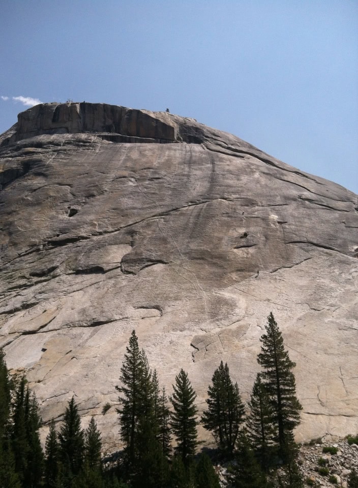 Rock face at El Capitan with pine trees at the base.