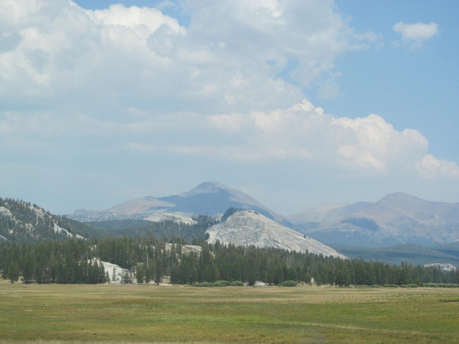 Tranquil mountain landscape with lush green fields, dense pine forests, and distant rocky peaks under a partly cloudy sky, showcasing natural beauty and outdoor serenity.