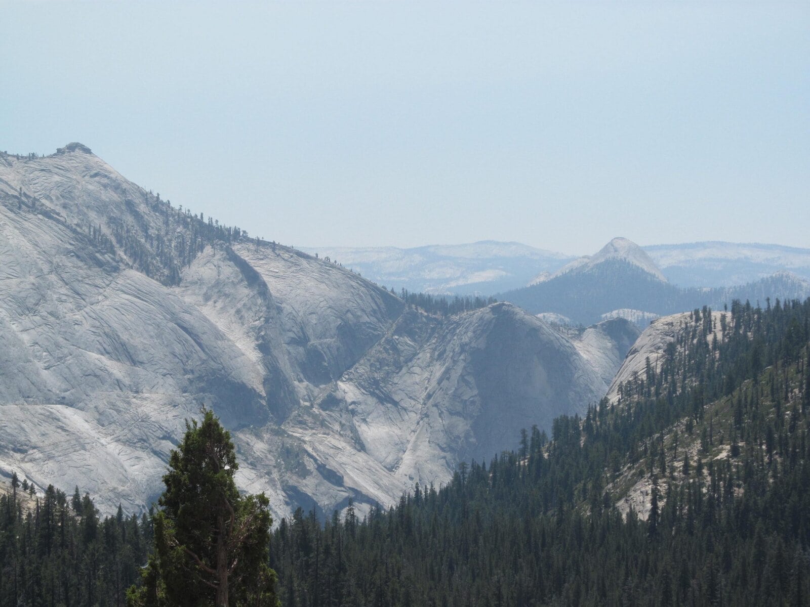 Snow-capped granite mountains with lush evergreen forests in a scenic national park landscape.