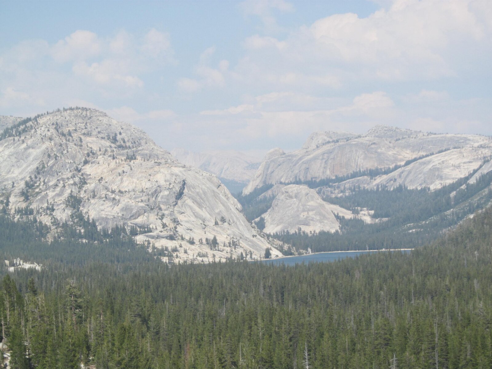 Majestic granite mountains overlooking a lush pine forest with a serene lake in the distance, captured during a scenic outdoor landscape adventure.