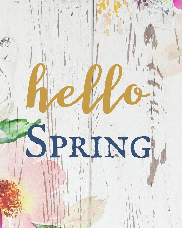 “Oh, Hello Spring” Free Printable Spring Wall Art - A Hundred Affections