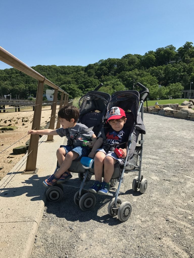 Two young boys sitting in a double stroller at the park on a sunny day, enjoying outdoor activities with lush green trees and a clear blue sky in the background.