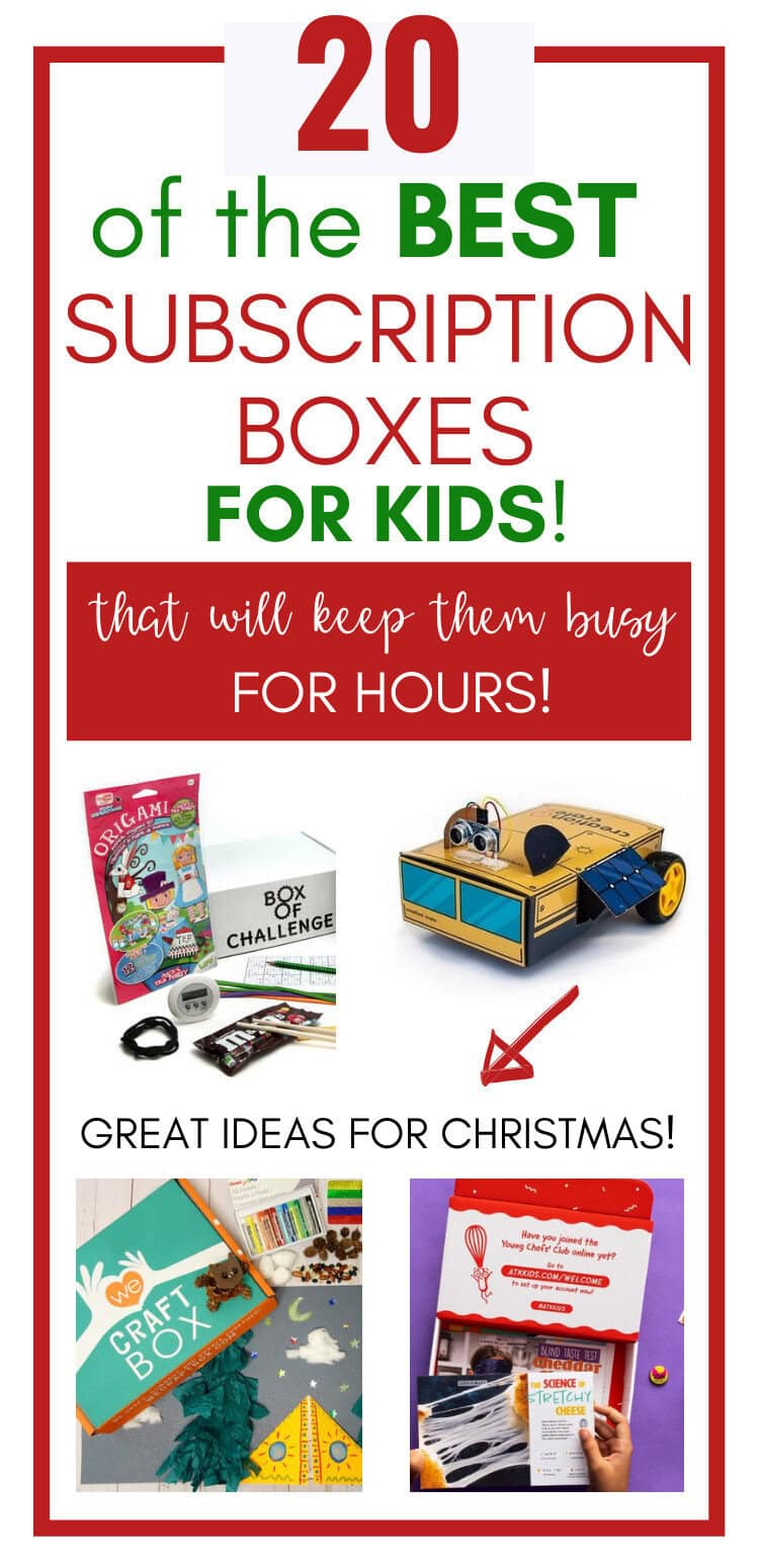 20 best subscription boxes for kids pin