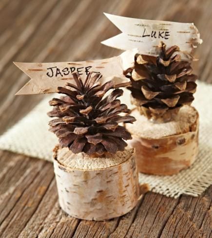 Two pinecones with handmade wooden name tags "Jasper" and "Luke" on rustic wood slices, perfect for personalized wedding or event décor.