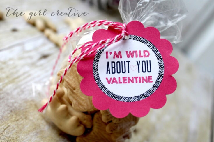 Cute Valentine treat with a pink scalloped label reading "I'm wild about you Valentine" for romantic gift ideas.