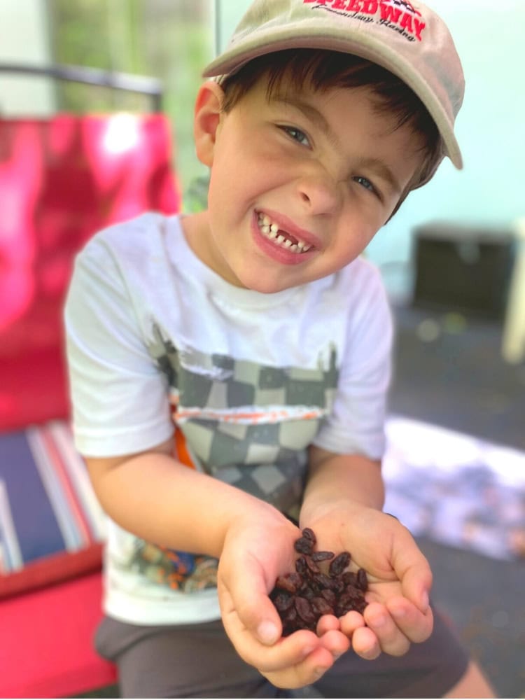boys holding raisins in hand