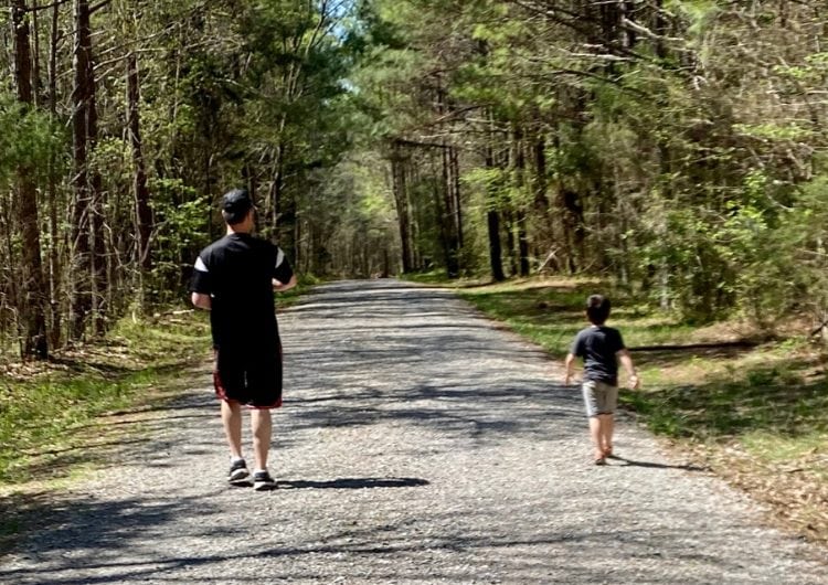 Tranquil forest path with two children enjoying a walk amidst lush greenery and towering trees, perfect for outdoor family adventures and nature photography.