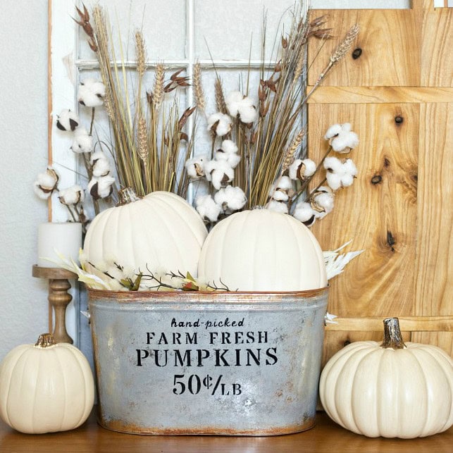 White pumpkins with cotton and dried wheat in a rustic metal bin, farmhouse autumn decor, harvest centerpiece for seasonal decoration, cozy fall home accents, A Hundred Affections.