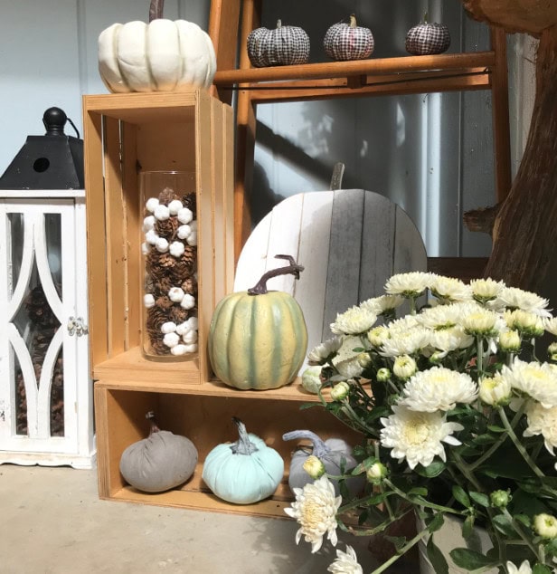 Pumpkin home decor display with white, gray, teal, and striped pumpkins surrounded by white chrysanthemums, perfect for fall and autumn seasonal decorations.