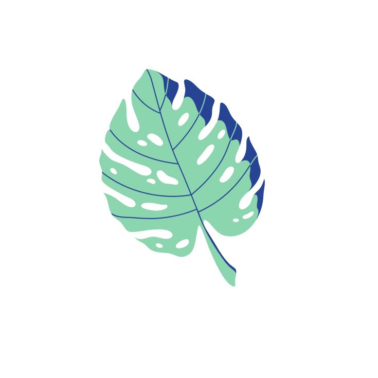 Vibrant Monstera leaf illustration for A Hundred Affections, emphasizing modern botanical art and nature-inspired home decor ideas. Perfect for floral design, interior styling, or eco-friendly living themes.