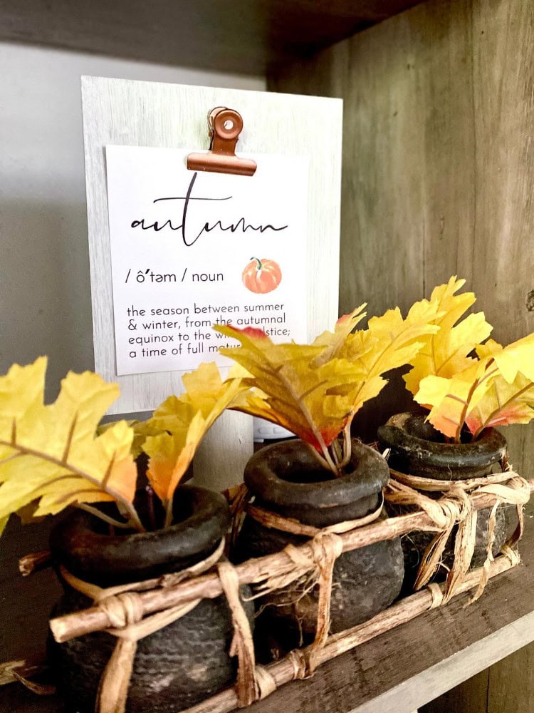 Autumn fall leaves in small rustic planters with seasonal decor, highlighting autumn, fall, seasonal decorations, rustic style, and fall foliage.