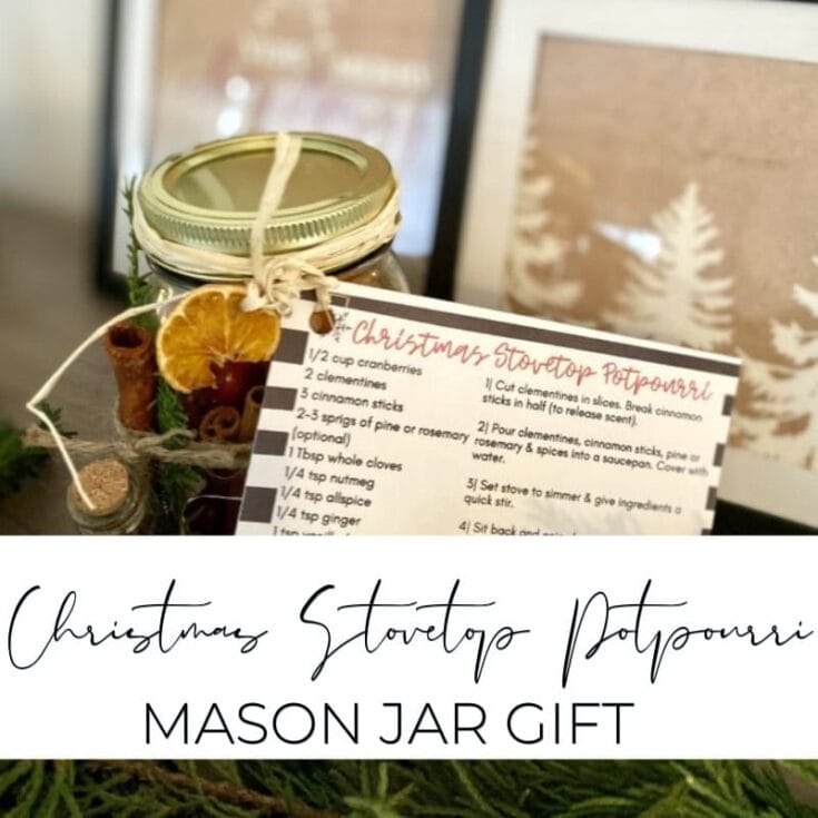 Mini mason jar gift with a festive Christmas hot cocoa mix, decorated with dried orange slices, cinnamon sticks, and pine sprigs for holiday gifting.