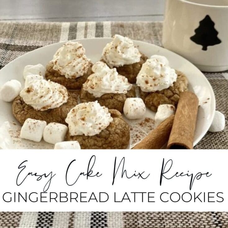 Butterscotch cookie dough topped with whipped cream, mini marshmallows, and cinnamon sticks, served on a white plate for a cozy treat.