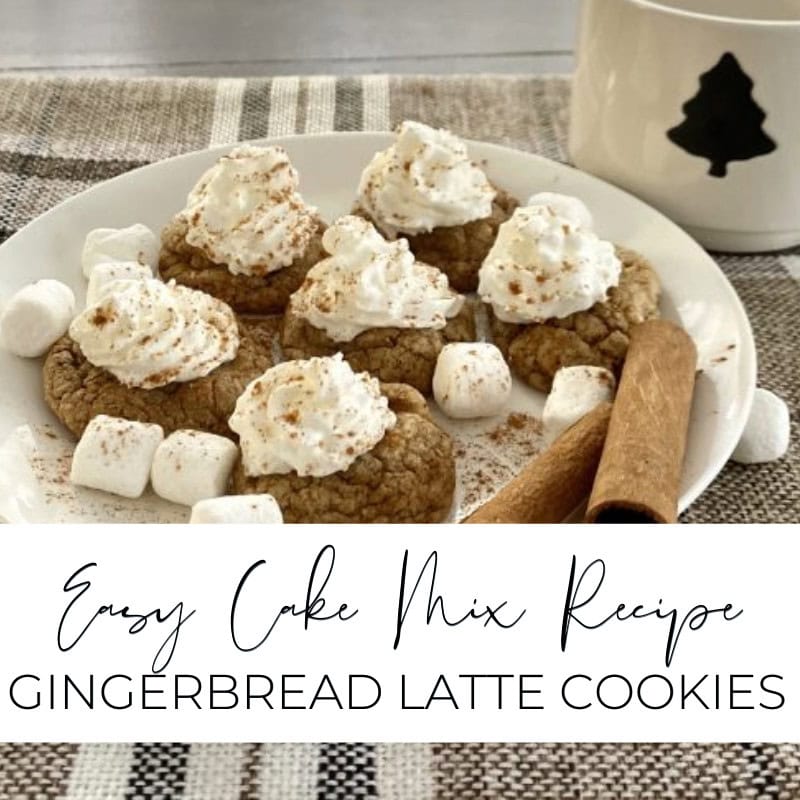 Butterscotch cookie dough topped with whipped cream, mini marshmallows, and cinnamon sticks, served on a white plate for a cozy treat.