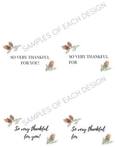 pine cone samples of Thanksgiving Place Cards