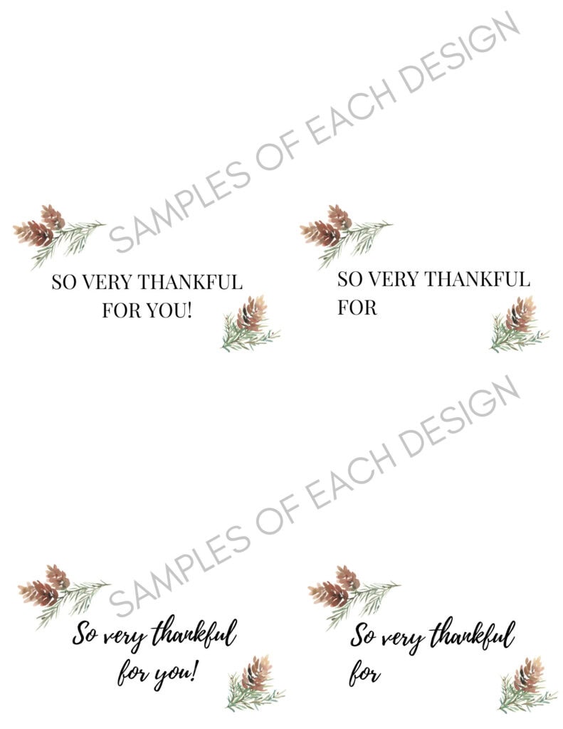 Thanksgiving appreciation card with pine cone and foliage illustrations, perfect for expressing gratitude and heartfelt sentiments during the holiday season.