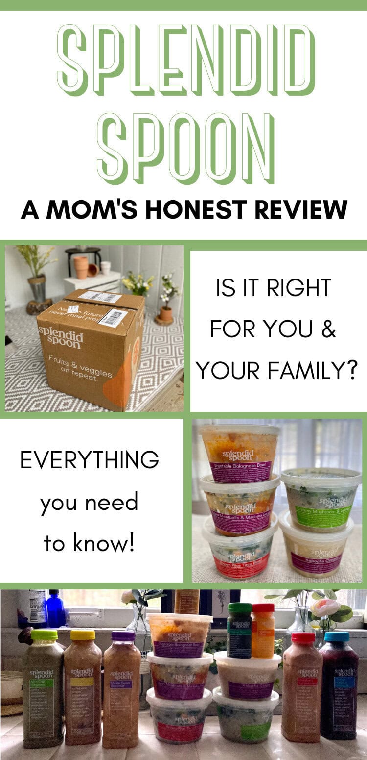Fresh healthy meal prep from splendid spoon organic food delivery service with colorful containers, promoting nutritious eating habits for families and busy moms.