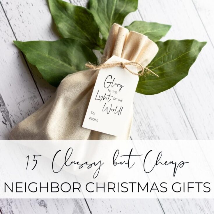 Simple holiday gift wrap with green leaves and a "Glory to the Light of the World" tag, perfect for affordable and stylish neighbor Christmas gifts.