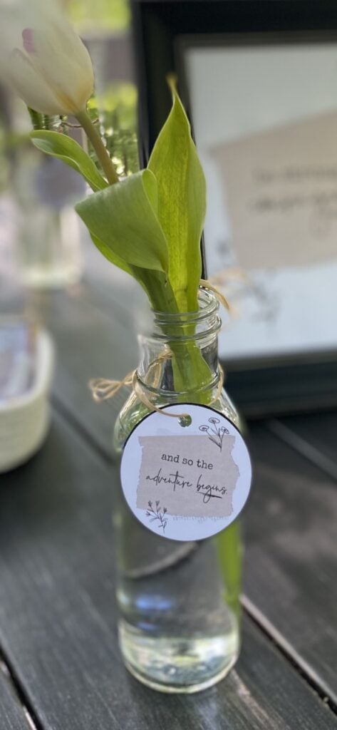 Delicate green leaves in a small glass jar with a tag that reads "and so the adventure begins" in elegant script, perfect for celebrating new beginnings or special occasions, styled by A Hundred Affections.
