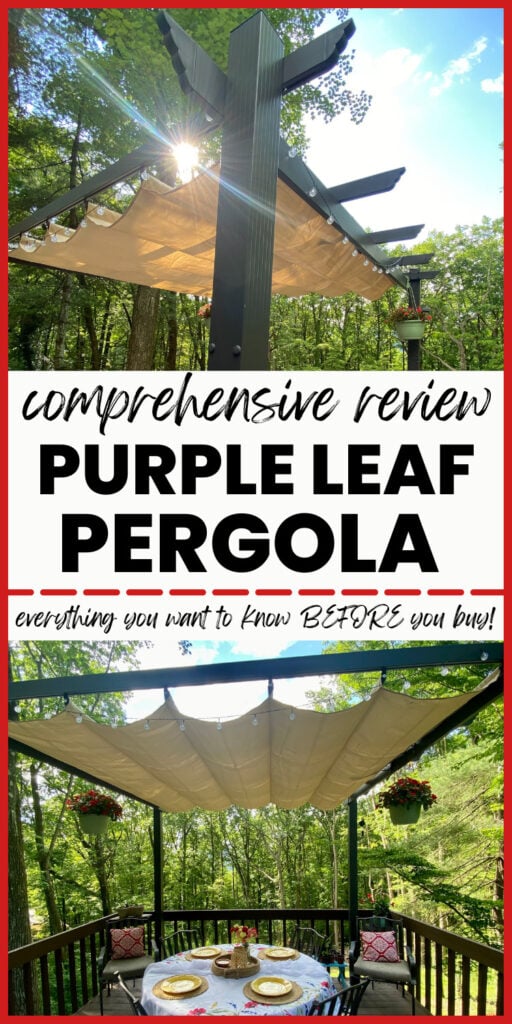 purple leaf pergola review pin