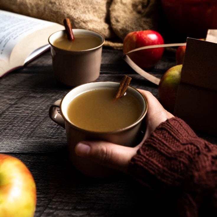 Warm apple cider with cinnamon sticks and fresh apples on rustic wooden table, cozy fall beverage setting, perfect for autumn, seasonal drink, comfort food, cozy atmosphere, holiday traditions, Thanksgiving, seasonal recipes.