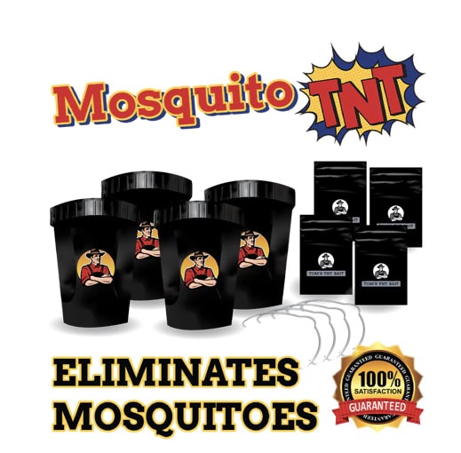 Eliminates mosquitoes with innovative mosquito TNT traps, featuring sleek black design and effective pest control solution. Ideal for outdoor spaces to keep bugs away.