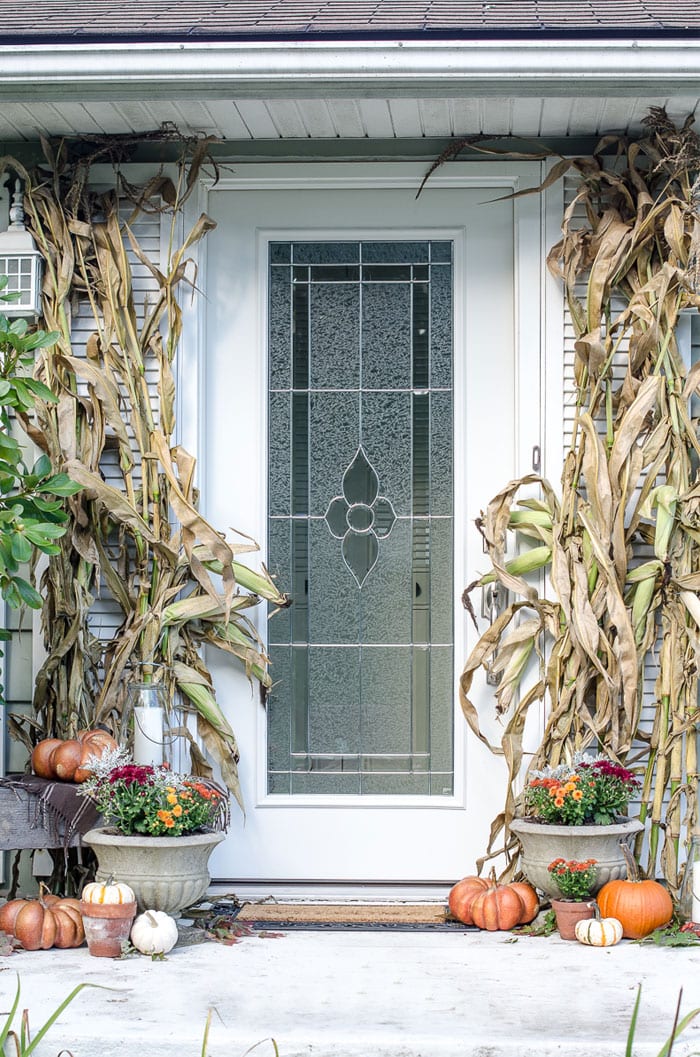 Pumpkin fall decor with dried cornstalks and colorful flowers at front door.