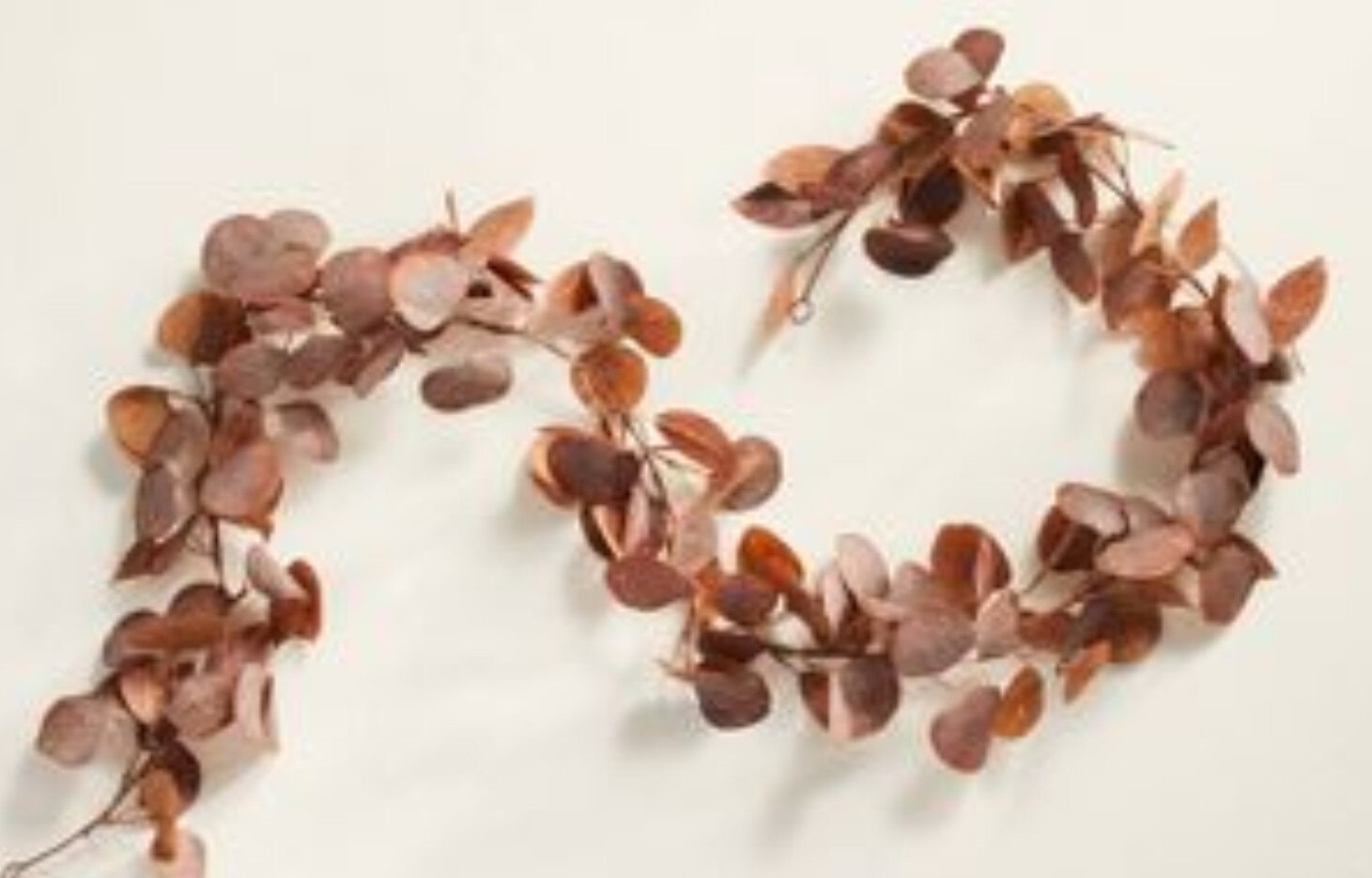 Delicate dried eucalyptus leaves arranged in a heart shape, ideal for romantic or rustic decor, capturing natural beauty and timeless elegance.