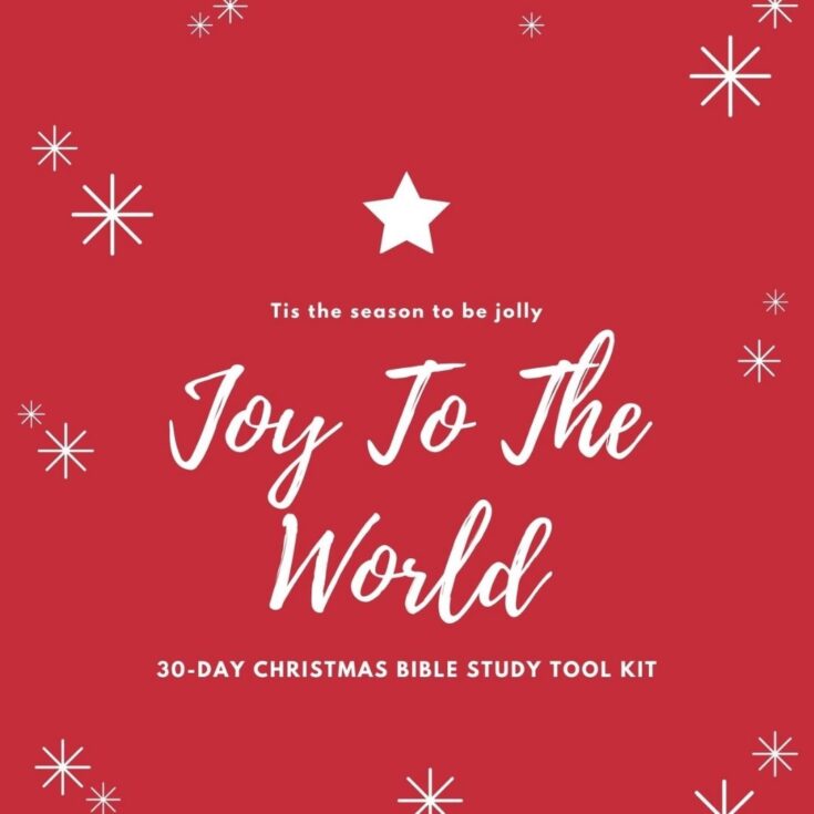Joy To The World Christmas Bible Study Tool Kit - A Hundred Affections.
