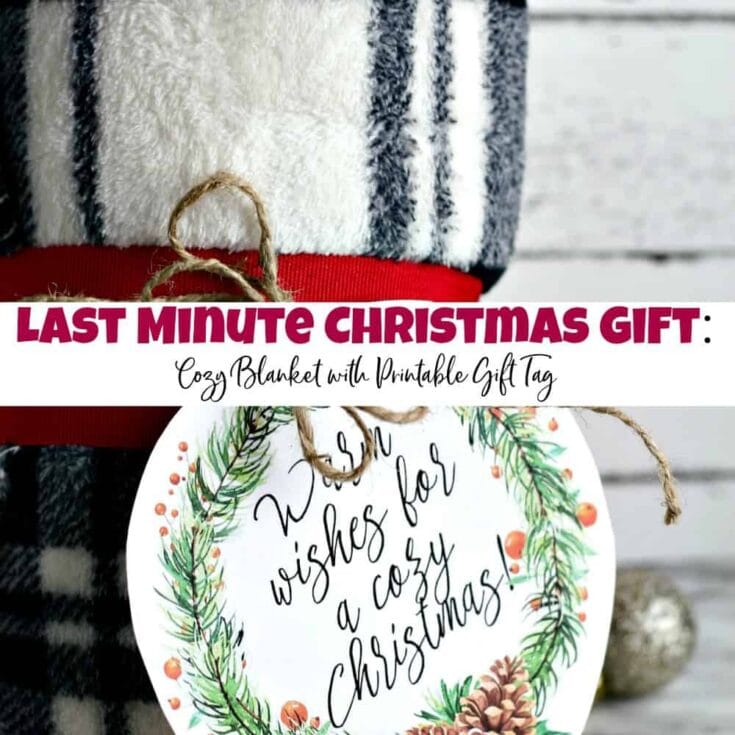 Hope you enjoyed the last-minute Christmas gift idea — a cozy blanket with a printable gift tag featuring festive holiday wishes. This charming gift is perfect for spreading warmth and holiday cheer to loved ones.