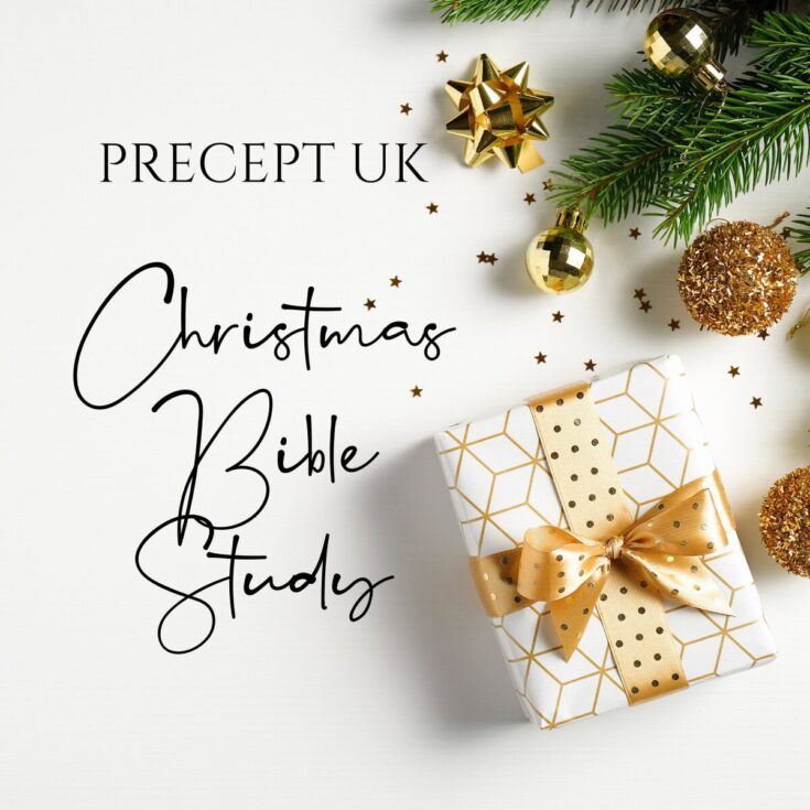 Elegant Christmas gift wrapped in white and gold with a polka dot bow, surrounded by festive ornaments and pine branches, promoting holiday cheer for precept UK.