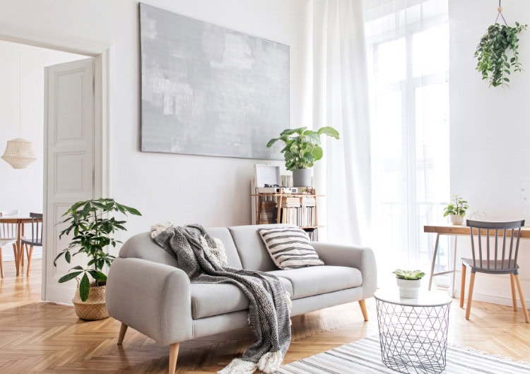 living room in modern style with live plants