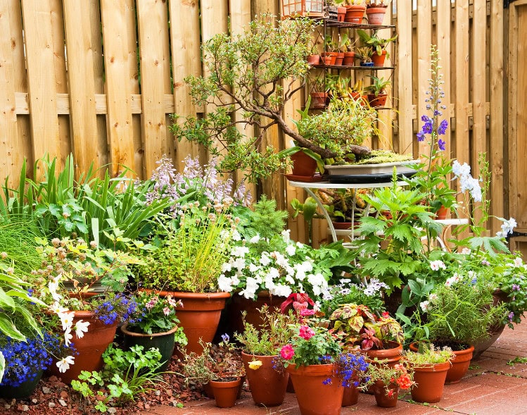 patio garden with vertical planters, terra cotta pots, variety of flowers and plants