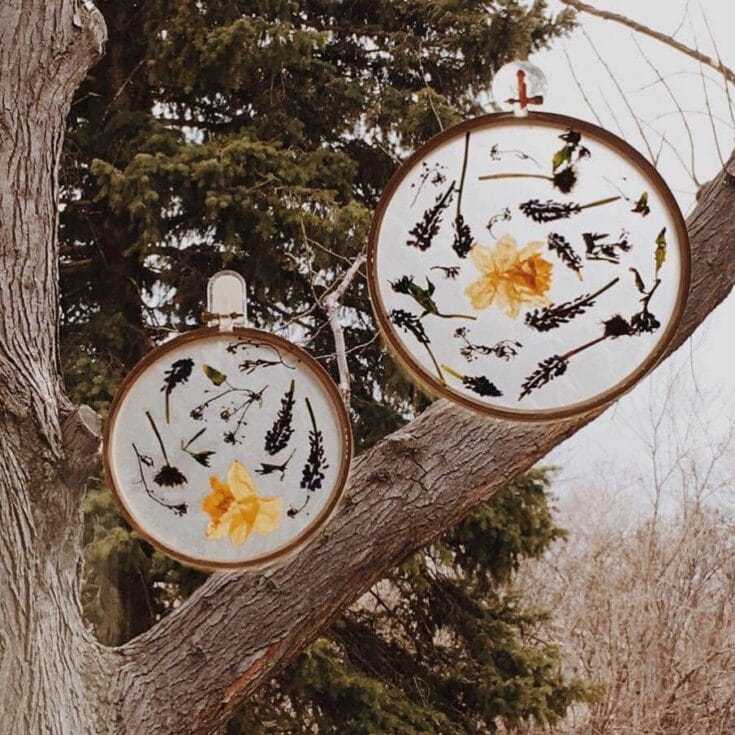 Pressed flower wall hanging with yellow flower and dark foliage, hanging from tree branch, outdoor natural setting.