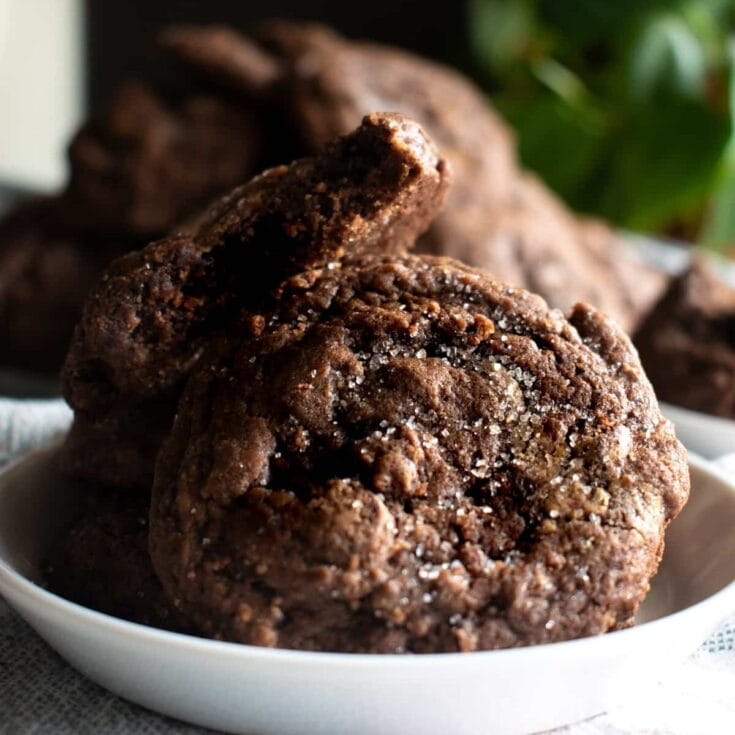 Fudgy, chocolate cookies sprinkled with sea salt on a white plate, showcasing rich texture and deep chocolate flavor. Perfect indulgence for dessert or snack lovers.