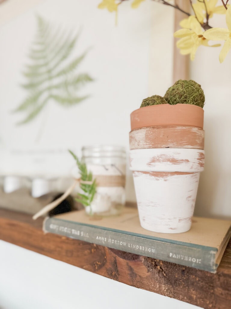 aged terracotta pots with moss on vintage book gifts from the sea on shelf