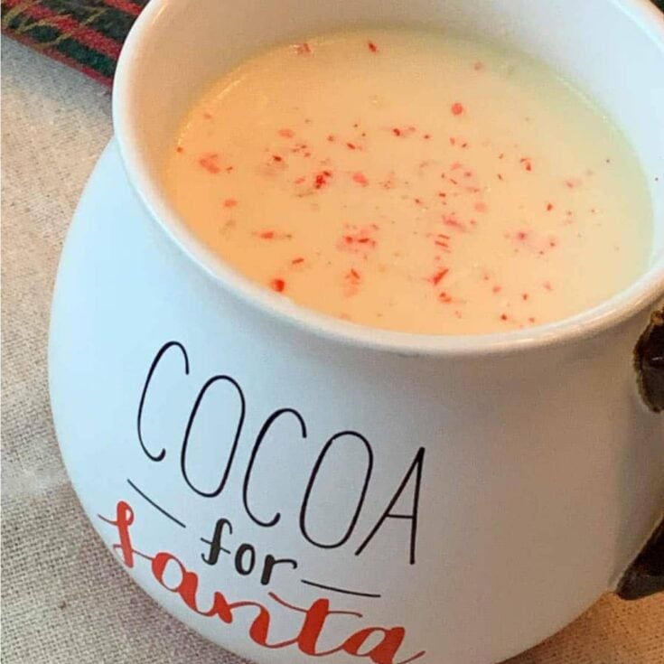 Creamy hot chocolate topped with red sprinkles in a cozy mug with "Cocoa for Santa" written on it, perfect for holiday cheer and festive moments.