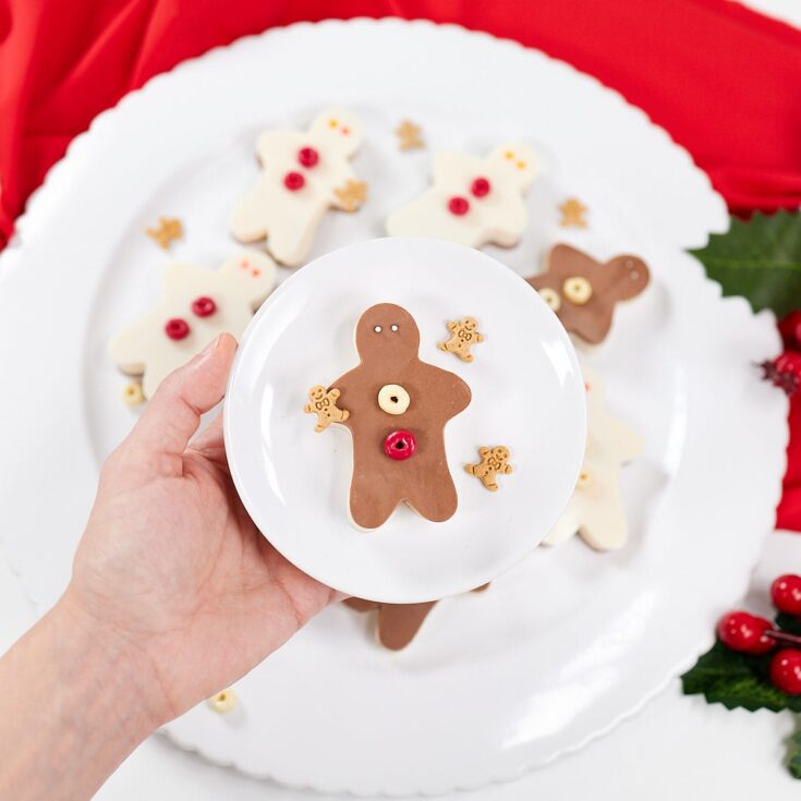 Chocolate gingerbread cookie shaped like a gingerbread person with holiday sprinkles and small cookies on a white plate.