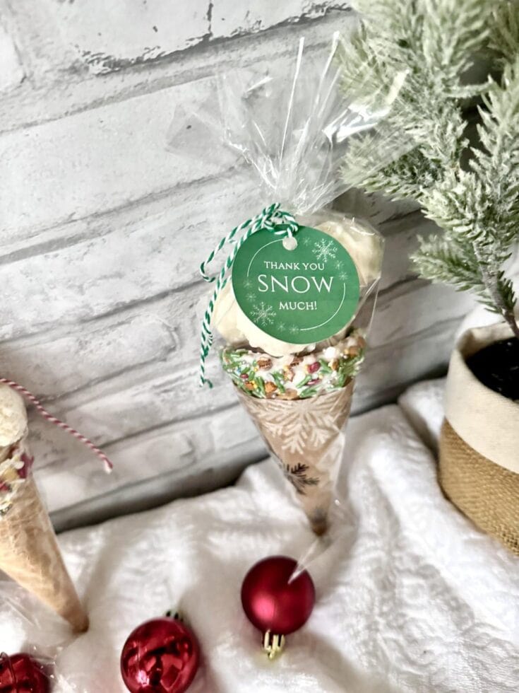Delicious Christmas-themed ice cream cone with sprinkles, wrapped in clear plastic with a "Thank You Snow Much!" tag, set against a festive holiday backdrop with ornaments and greenery.