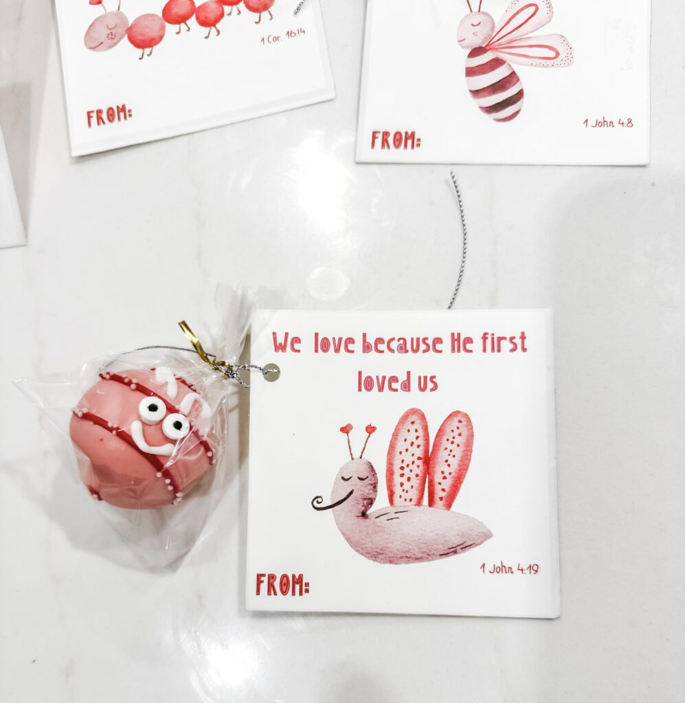 love bug cake ball in cellophane bag
