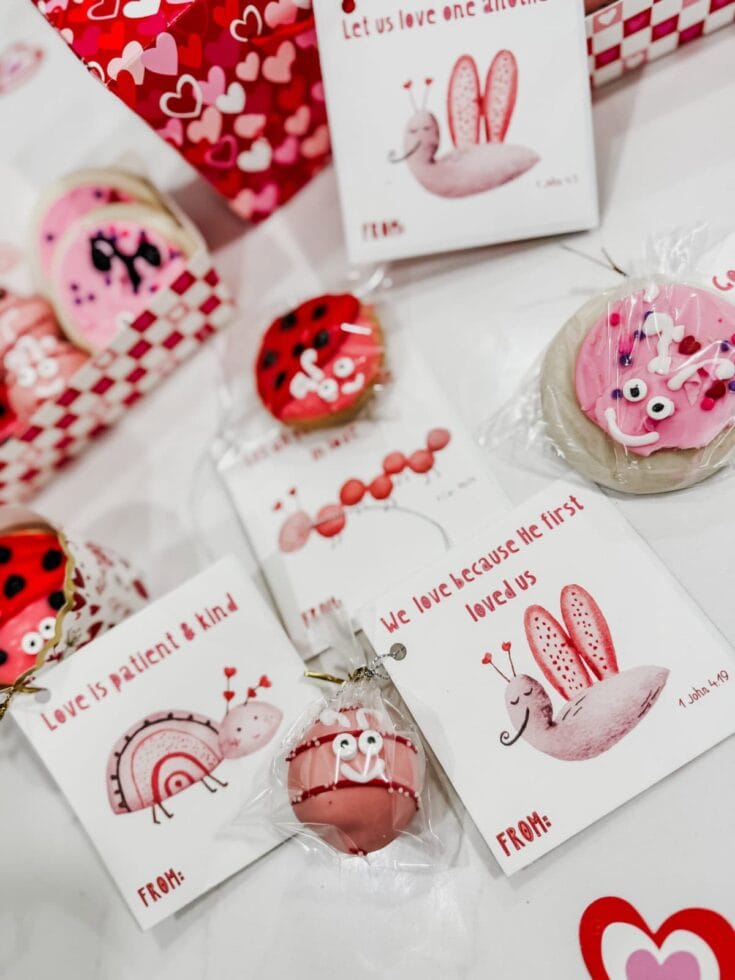 Colorful Valentine's Day cookies with pink, red, and white icing featuring cute ladybugs, bunnies, and heart motifs, packaged with love-themed tags, perfect for gifting.