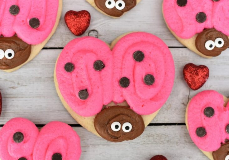Colorful ladybug cookies with pink icing, chocolate accents, and cute googly eyes, perfect for Valentine's Day or spring celebrations.