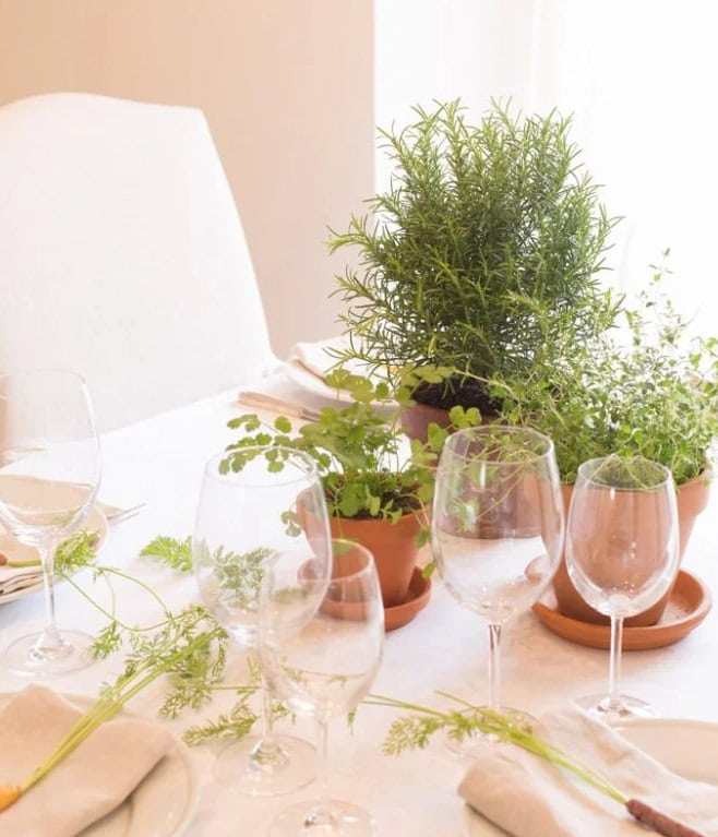 Fresh herb potted plants on a white dining table with wine glasses, perfect for kitchen or garden decor, indoor herbs, and home gardening ideas.