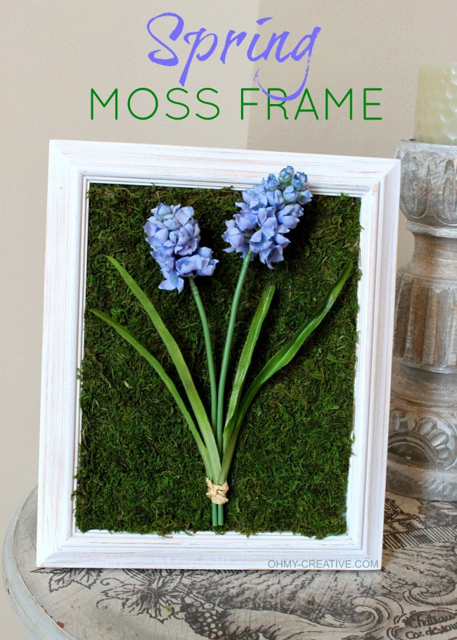 Vibrant spring moss frame with purple hyacinths floral art for home decor.