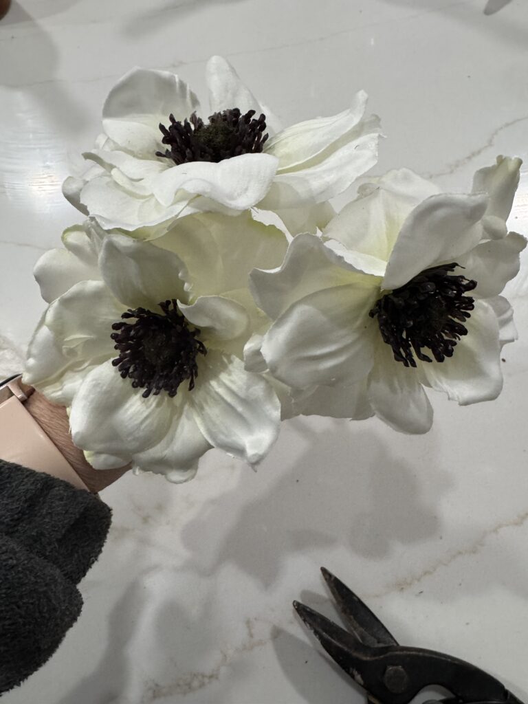 anemone flowers