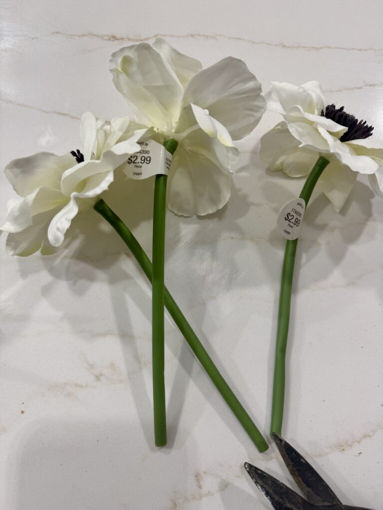 anemone stems 