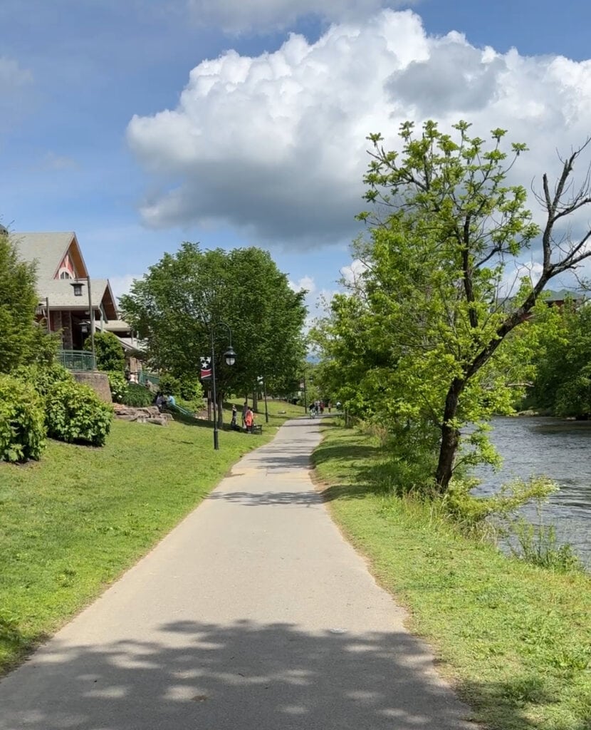 Serene riverside walkway in a scenic park with lush greenery, trees, and a calm waterway, perfect for outdoor relaxation and nature walks.
