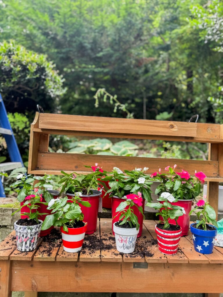 potted flowers in 4th of july pots