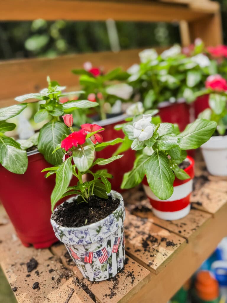 decoupage flower pot for 4th of july with vinca